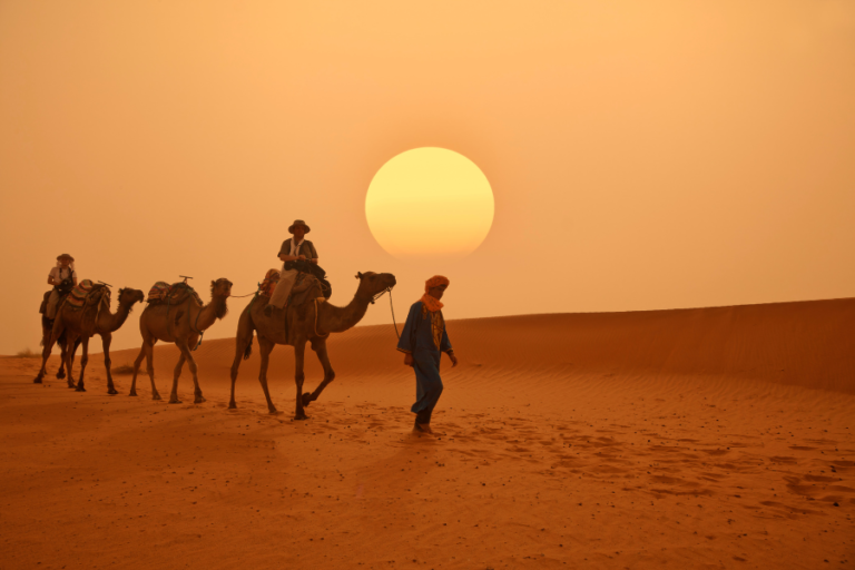 Road Trip Moroccan Desert en van