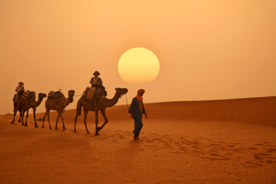 Moroccan Desert Road Trip in a van