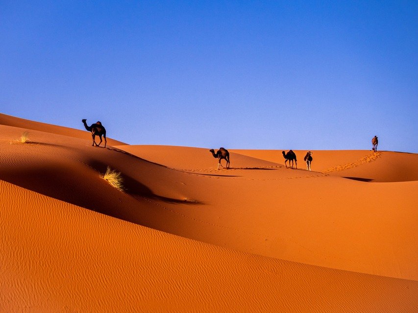 Désert Sahara du Maroc - Bivouac