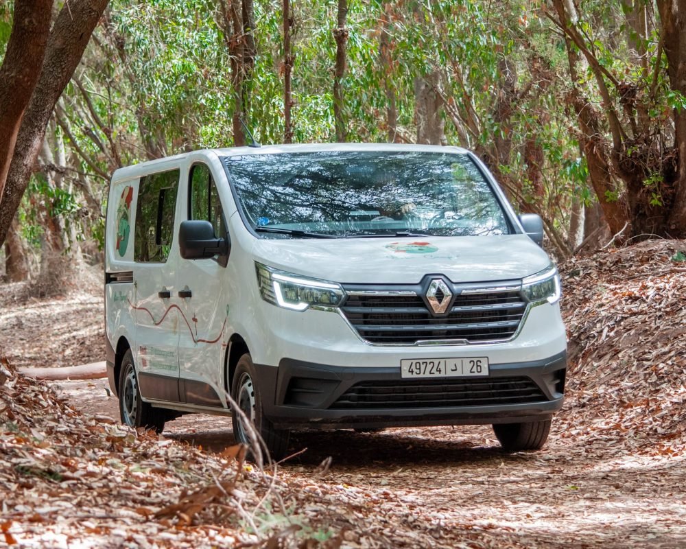 Our camper van in the forest - autumn